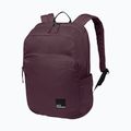Plecak miejski Jack Wolfskin Terraview 20 l amaranth 2
