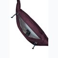 Saszetka nerka Jack Wolfskin Konya Hipbag 2 l amaranth 4