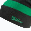 Czapka zimowa dziecięca Jack Wolfskin Stripy Knit slate green/mystic 3