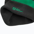 Czapka zimowa dziecięca Jack Wolfskin Stripy Knit slate green/mystic 5
