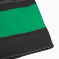 Czapka zimowa dziecięca Jack Wolfskin Stripy Knit slate green/mystic 6