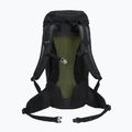 Plecak turystyczny Jack Wolfskin Astro Vent 30 l phantom 3