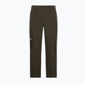 Spodnie trekkingowe męskie Jack Wolfskin Activate Flex obsidian moss 7