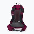Plecak turystyczny Jack Wolfskin Crosstrail ST 22 l beaujolais 3