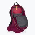 Plecak turystyczny Jack Wolfskin Crosstrail ST 22 l beaujolais 5