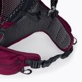 Plecak turystyczny Jack Wolfskin Crosstrail ST 22 l beaujolais 6