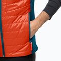 Bezrękawnik trekkingowy męski Jack Wolfskin Routeburn Pro Ins wild brier 4