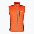 Bezrękawnik trekkingowy męski Jack Wolfskin Routeburn Pro Ins wild brier 6