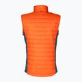 Bezrękawnik trekkingowy męski Jack Wolfskin Routeburn Pro Ins wild brier 7