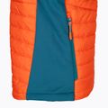 Bezrękawnik trekkingowy męski Jack Wolfskin Routeburn Pro Ins wild brier 9