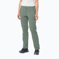 Spodnie softshell damskie Jack Wolfskin Glastal Zip Off picnic green