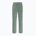 Spodnie softshell damskie Jack Wolfskin Glastal Zip Off picnic green 5