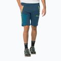 Spodnie softshell męskie Jack Wolfskin Glastal Zip Away dark sea 3