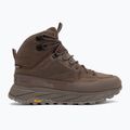 Buty trekkingowe męskie Jack Wolfskin Terraquest Texapore Mid bear 2