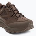 Buty trekkingowe męskie Jack Wolfskin Terraquest Texapore Low gecko bear 7