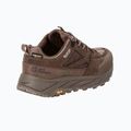 Buty trekkingowe męskie Jack Wolfskin Terraquest Texapore Low gecko bear 2
