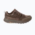 Buty trekkingowe męskie Jack Wolfskin Terraquest Texapore Low gecko bear 3