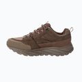 Buty trekkingowe męskie Jack Wolfskin Terraquest Texapore Low gecko bear 4