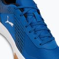 Buty do siatkówki PUMA Varion royal/puma white 8