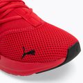 Buty męskie PUMA Softride Enzo Evo high risk red/puma black 7
