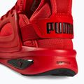 Buty męskie PUMA Softride Enzo Evo high risk red/puma black 14