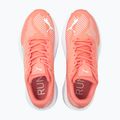 Buty do biegania PUMA Aviator Profoam Sky carnation pink/puma white 11