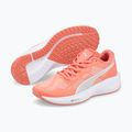 Buty do biegania PUMA Aviator Profoam Sky carnation pink/puma white 12