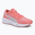 Buty do biegania PUMA Aviator Profoam Sky carnation pink/puma white