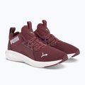 Buty damskie PUMA Softride Enzo Nxt wood violet/puma silver 4