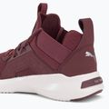 Buty do biegania damskie PUMA Softride Enzo Nxt wood violet/puma silver 10