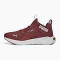 Buty do biegania damskie PUMA Softride Enzo Nxt wood violet/puma silver 11