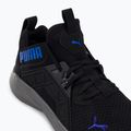 Buty do biegania męskie PUMA Softride Enzo Nxt puma black/royal sapphire 10
