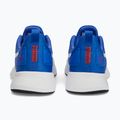 Buty do biegania męskie PUMA Flyer Runner Mesh royal sapphire/puma red 13