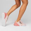 Buty do biegania damskie PUMA Retaliate Mesh rose dust/hibiscus flower/puma black 16