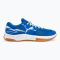 Buty do sportów halowych męskie PUMA Varion II puma team royal/puma white/gum 2