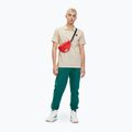 Koszulka polo męska FILA Luckenwalde antique white/aventurine striped 2
