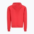 Bluza męska FILA Bengel Regular Hoody cayenne 6