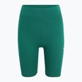 Legginsy damskie FILA Buckautal aventurine 5