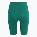 Legginsy damskie FILA Buckautal aventurine 6