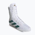 Buty bokserskie adidas Box Hog 4 cloud white/collegiate green/core black
