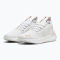 Buty do biegania damskie PUMA Softride Symmetry Fuzion Feather gray/mauve mist/rose gold