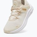 Buty damskie PUMA Softride One4All Femme alpine snow/puma white/gold 12