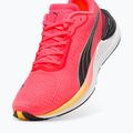 Buty do biegania damskie PUMA Electrify Nitro 3 Fade sun stream/sunset glow/puma white 11