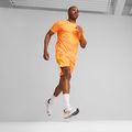 Buty do biegania męskie PUMA Velocity Nitro 3 puma white/sun stream 14