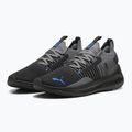 Buty do biegania PUMA Softride Symmetry Fuzion puma black/cool dark gray/puma team royal