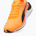 Buty do biegania męskie PUMA Electrify Nitro 3 Fade sun stream/sunset glow/puma white 12