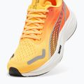 Buty do biegania damskie PUMA Velocity Nitro 3 Fade sun stream/sunset glow/white 11