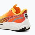 Buty do biegania damskie PUMA Velocity Nitro 3 Fade sun stream/sunset glow/white 12