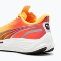 Buty do biegania męskie PUMA Velocity Nitro 3 Fade sun stream/sunset glow/white 13