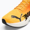 Buty do biegania męskie PUMA Velocity Nitro 3 Fade sun stream/sunset glow/white 7